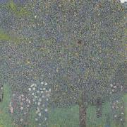 Gustav Klimt Rose Bushes Under the Trees (mk20) oil